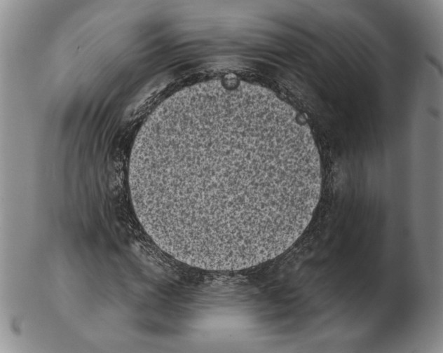 X0000102340824200808221629