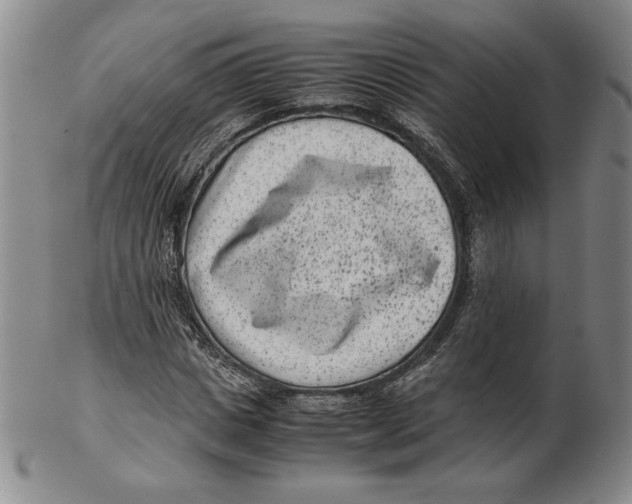 X0000102340825200808221629