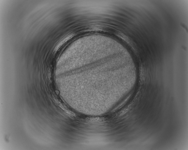 X0000102340826200808221629