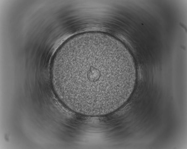 X0000102340828200808221629