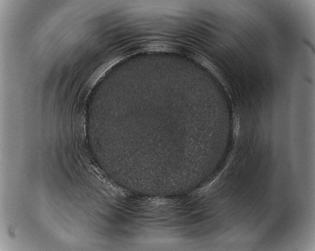 X0000102340829200808221629