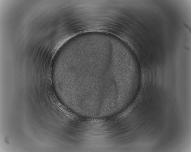 X0000102340830200808221629