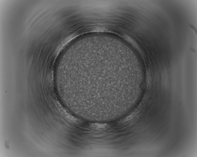 X0000102340831200808221629