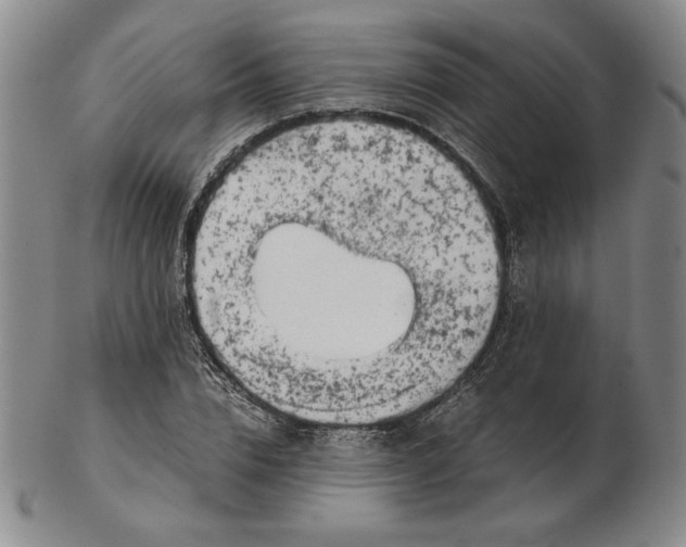 X0000102340832200808221629