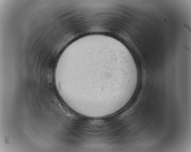 X0000102340833200808221629