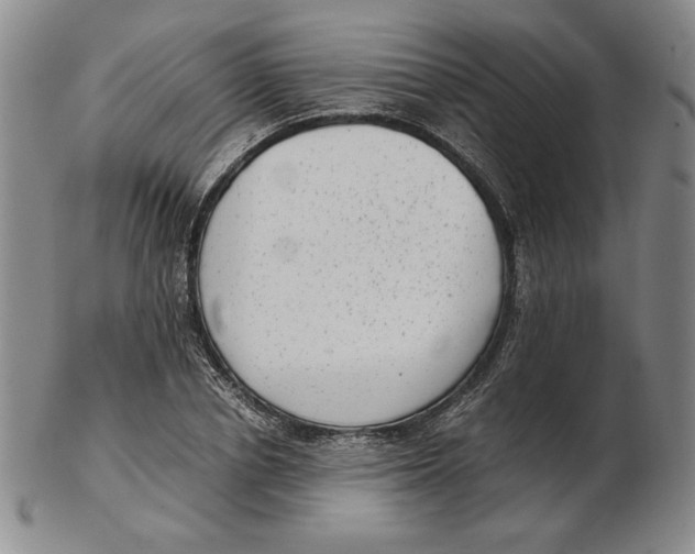 X0000102340834200808221629