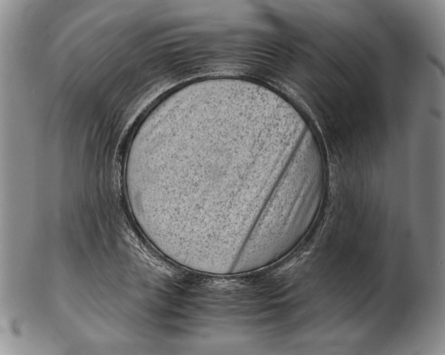 X0000102340835200808221629