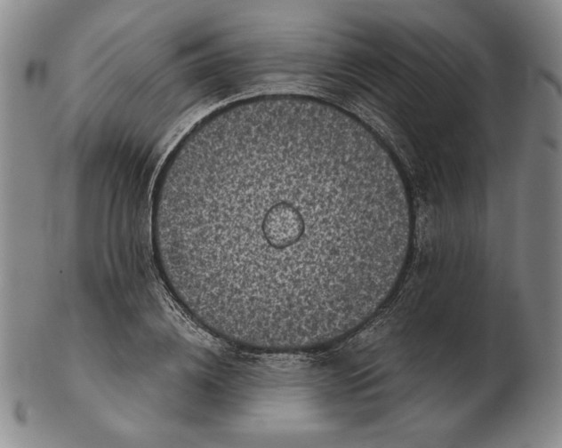 X0000102340836200808221629