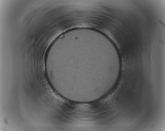 X0000102340837200808221629