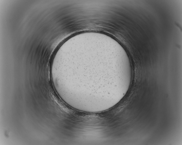 X0000102340838200808221629