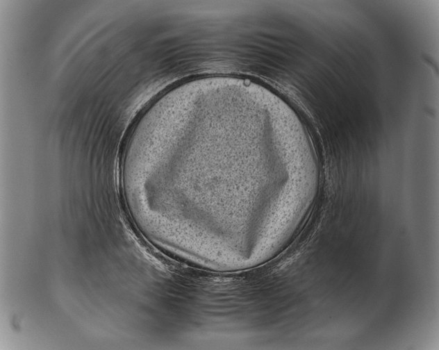 X0000102340839200808221629