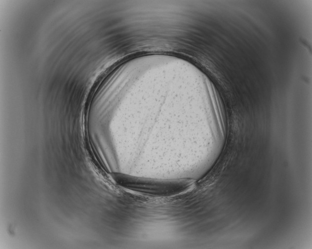 X0000102340840200808221629