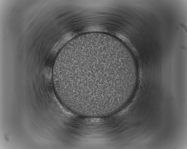 X0000102340841200808221629