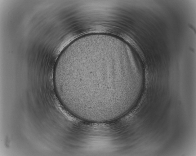 X0000102340842200808221629