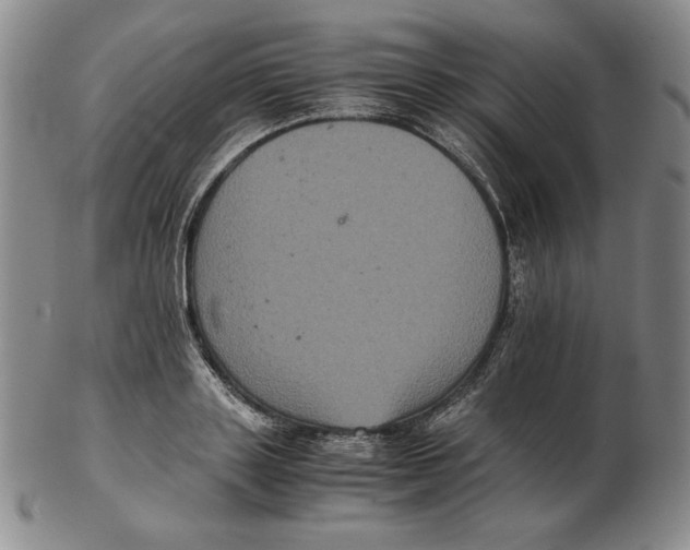 X0000102340843200808221629