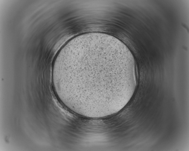 X0000102340844200808221629