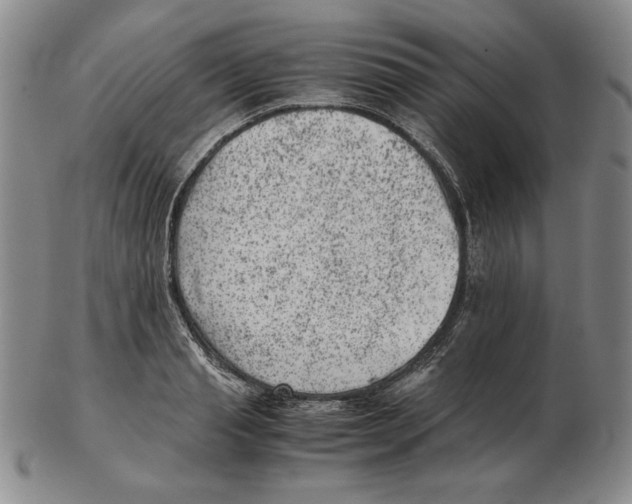 X0000102340845200808221629