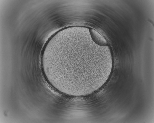 X0000102340846200808221629