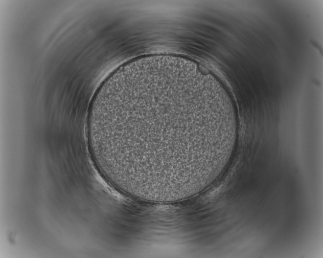 X0000102340847200808221629