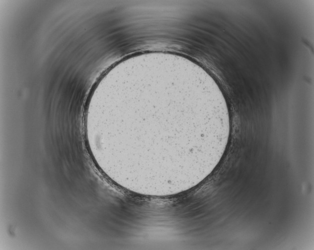 X0000102340848200808221629