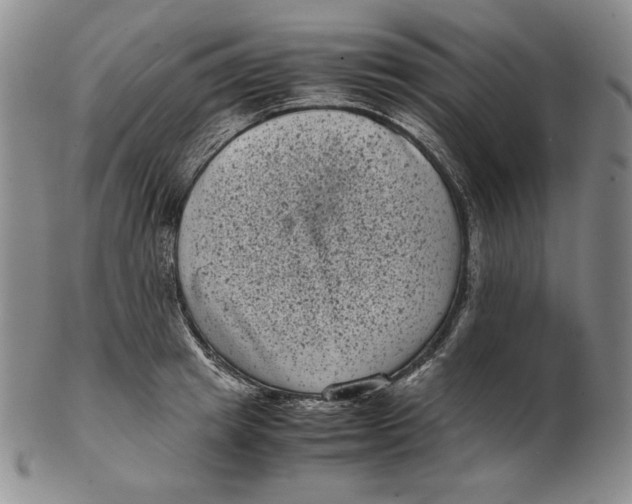 X0000102340849200808221629