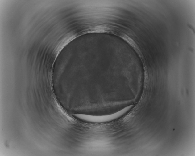 X0000102340850200808221629