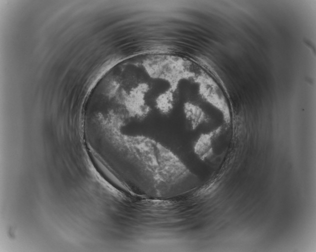 X0000102340851200808221629