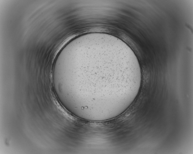 X0000102340852200808221629