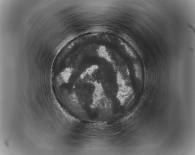 X0000102340853200808221629