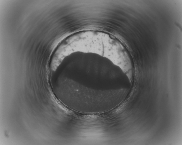 X0000102340854200808221629