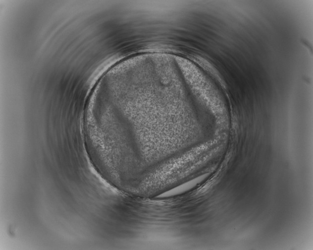 X0000102340855200808221629