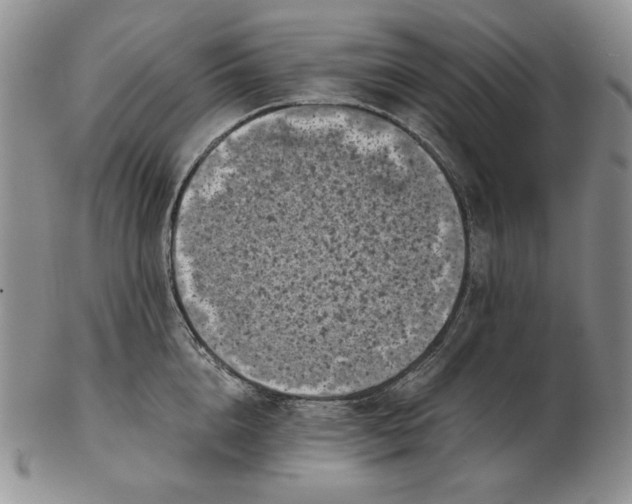 X0000102340856200808221629