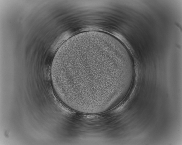 X0000102340857200808221629