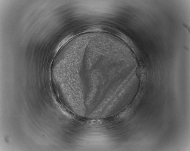 X0000102340858200808221629