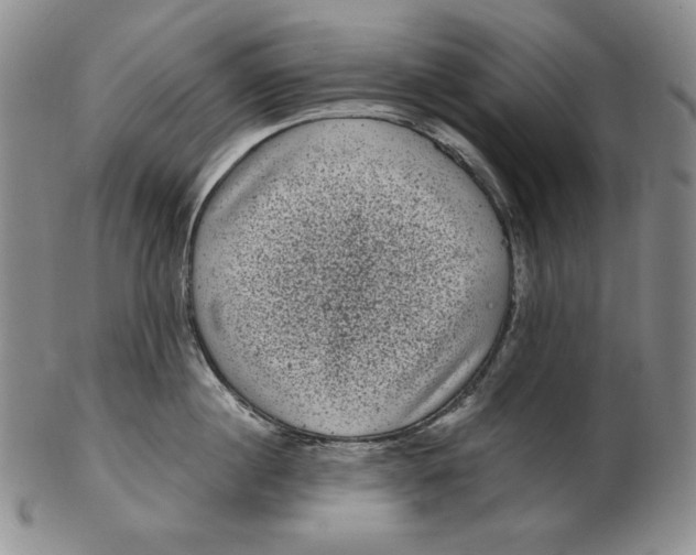 X0000102340860200808221629