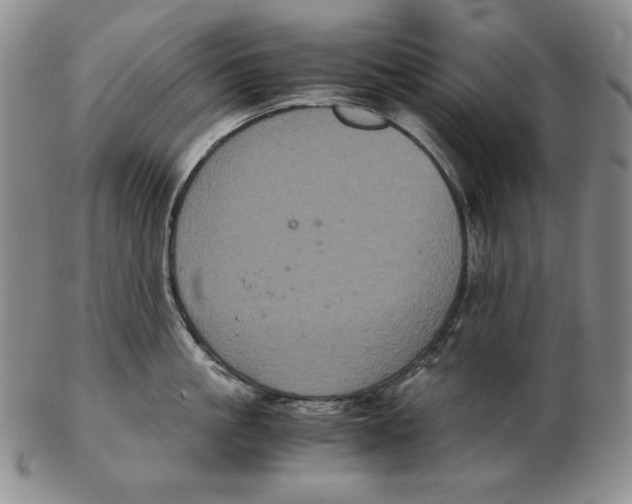 X0000102340861200808221629