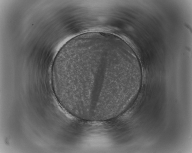 X0000102340862200808221629