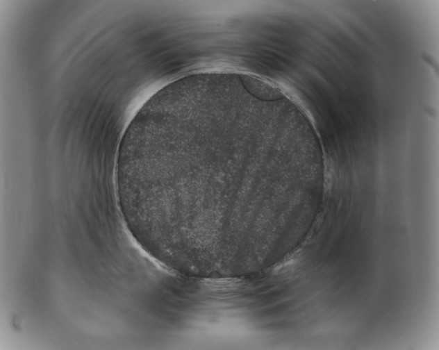 X0000102340863200808221629