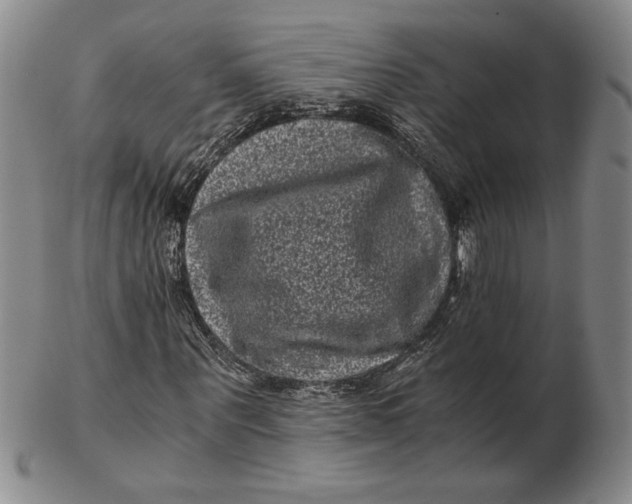 X0000102340867200808221629