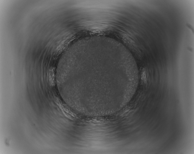 X0000102340868200808221628