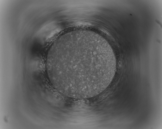 X0000102340869200808221628