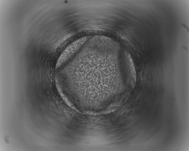 X0000102340870200808221628