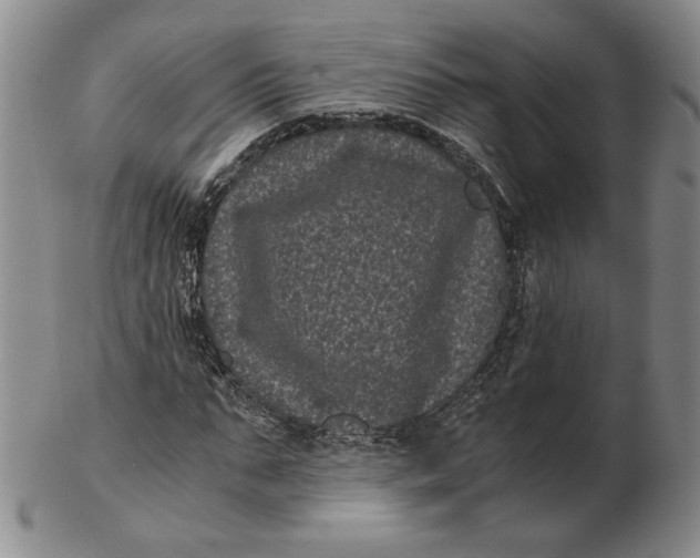 X0000102340871200808221628