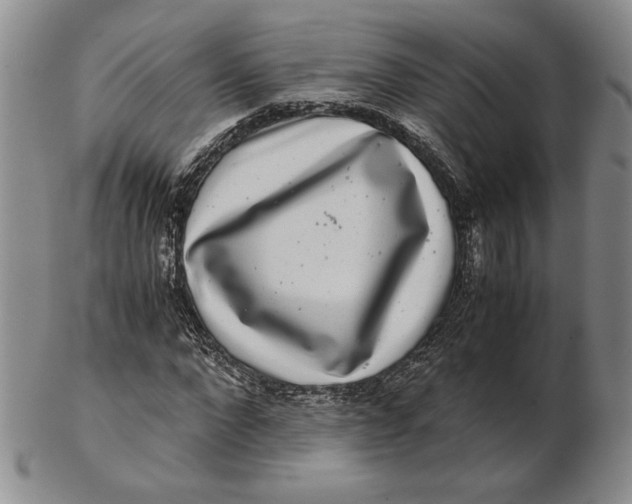 X0000102340872200808221628