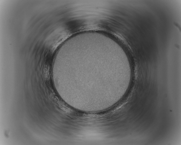 X0000102340873200808221628