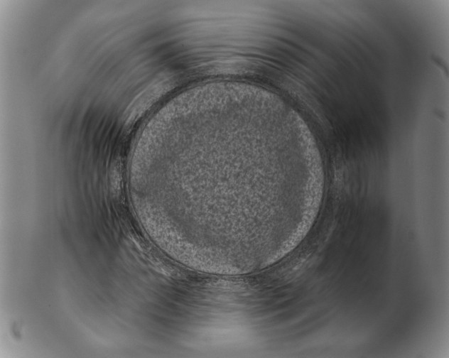 X0000102340874200808221628