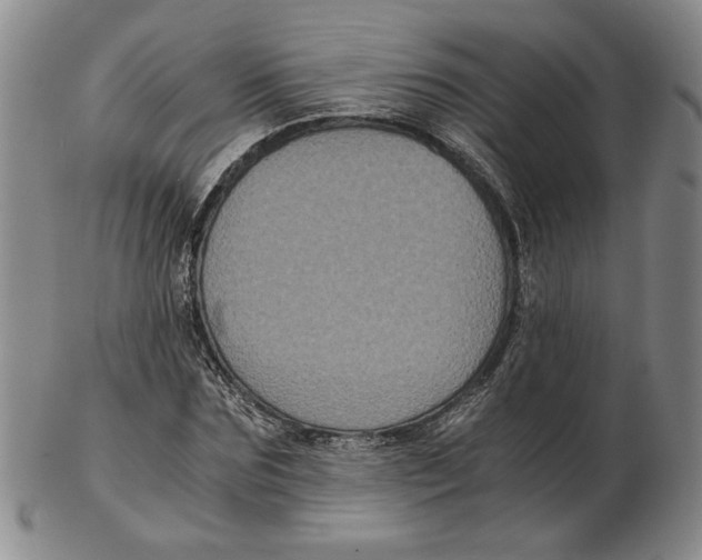 X0000102340875200808221628