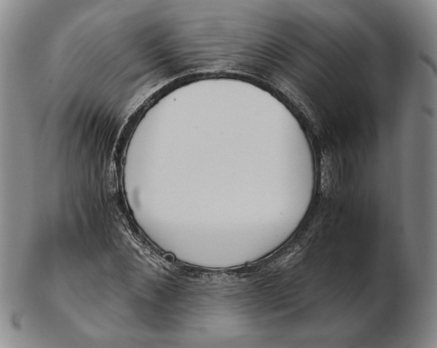 X0000102340876200808221628