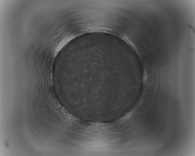 X0000102340877200808221628