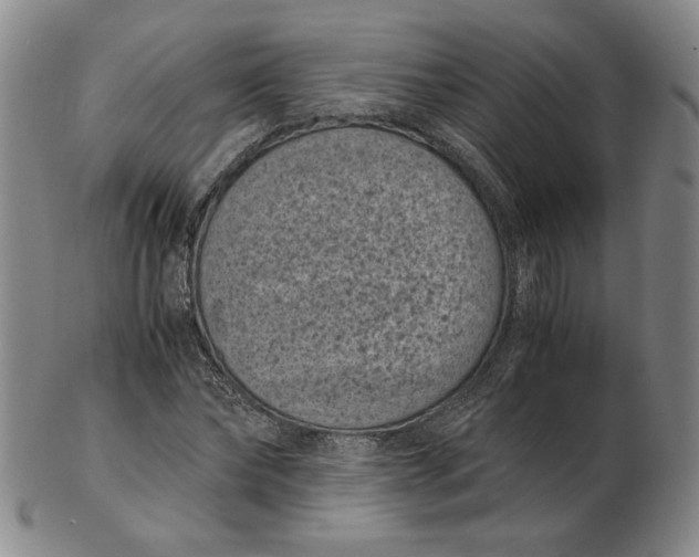 X0000102340878200808221628